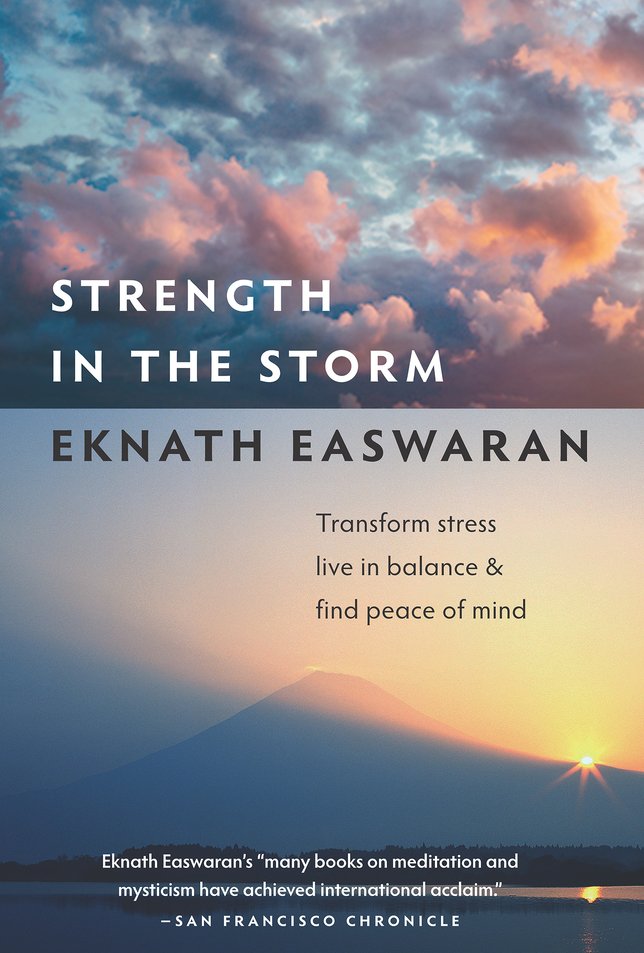 Strength in the Storm cover