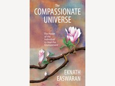 The Compassionate Universe cover