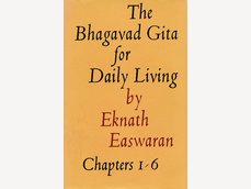 Essence Of The Bhagavad Gita Blue Mountain Center Of Meditation